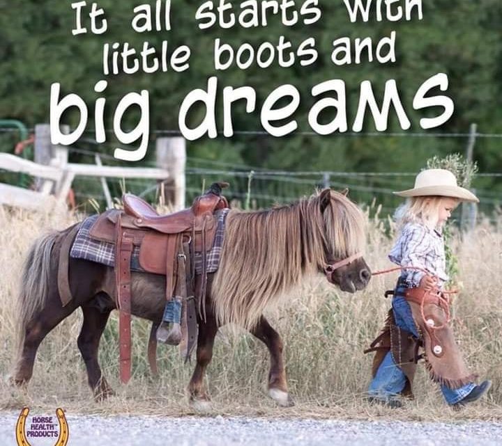 Little Boots & Big Dreams…