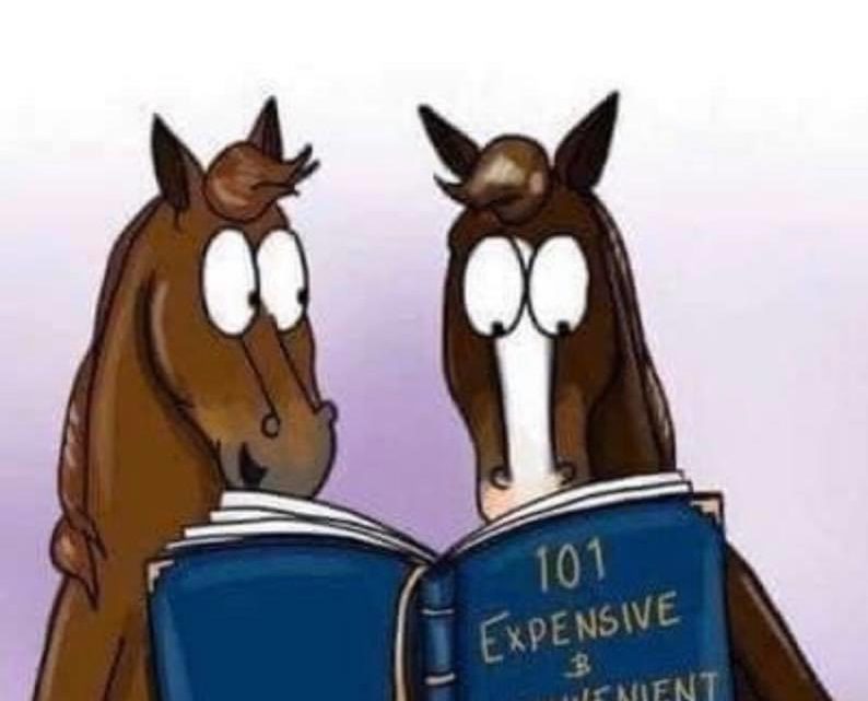 Horses Favorite Book