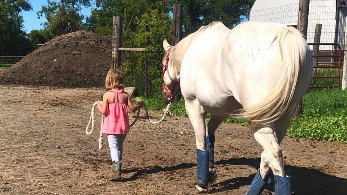 Just a girl and her horse…